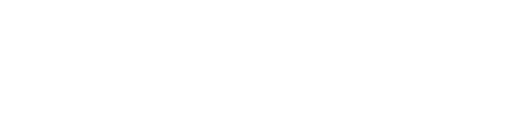 National Party logo